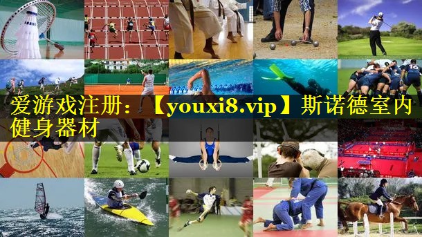 斯诺德室内健身器材 斯诺德室内健身器材